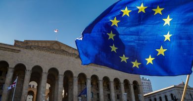 В Грузии возросло число граждан выступающих за сближение с Евросоюзом — опрос NDI