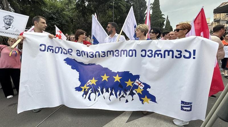 В Тбилиси проходит акция с требованием освободить Нику Гварамия