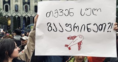 В Тбилиси проходит протестный марш против авиасообщения с Россией