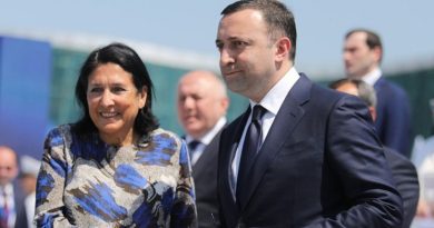 Гарибашвили заявил, что правительство одобрит визит президента в Брюссель