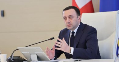 Гарибашвили отправился в Будапешт для участия в CPAC