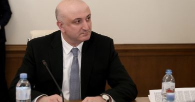 Глава Минздрава: правительство ведет переговоры с рядом стран ЕС о временном трудоустройстве граждан Грузии