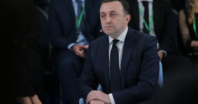 Грузинские НПО осудили заявление Гарибашвили
