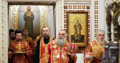 Грузинский митрополит находится в Москве в связи с празднованием тезоименитства Патриарха Кирилла
