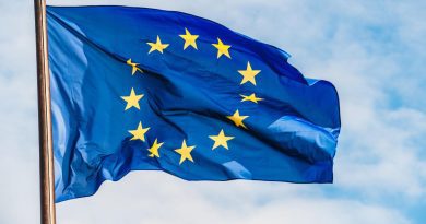 ЕС выделил 30 млн евро на укрепление обороноспособности Грузии