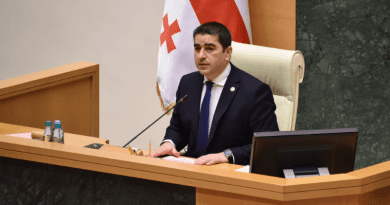 На спикера Парламента Грузии подали в суд из-за запрета посещать Саакашвили
