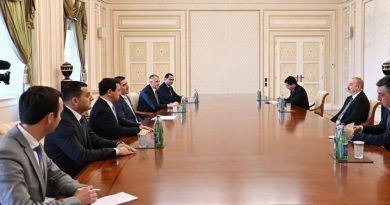 Председатель Парламента Грузии встретился с президентом Азербайджана