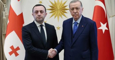 Премьер-министр Грузии поздравил президента Турции с успехом в первом туре
