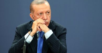 Эрдоган: В Сирии уничтожен лидер «Исламского государства»