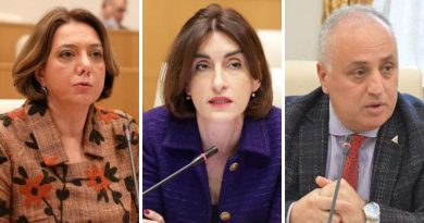 В Парламенте Грузии завили о «невидимых предпосылках» в процессе получения статуса кандидата в ЕС