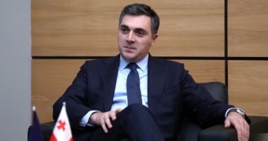 Дарчиашвили объяснил снижение показателей присоединения Грузии к заявлениям ЕС по внешней политике
