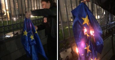 За сожжение флага ЕС возле резиденции президента Грузии оштрафованы два человека