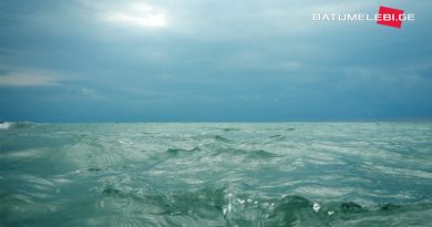Качество воды акватории Чёрного моря находится в норме — Национальное агентство окружающей среды