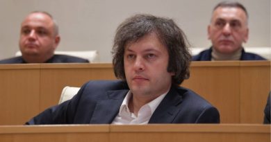 Кобахидзе обвинил оппозицию, послов и НПО в поощрении насилия