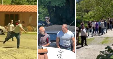МВД Грузии расследует нападения на Джапаридзе и молодежный лагерь, а также инцидент в ТГУ