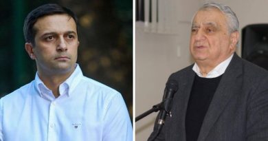 Народный защитник Грузии подверг критике сюжет журналиста «Мтавари Архи»
