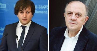 «Насилие недопустимо, но…» — Кобахидзе о нападении на Бердзенишвили