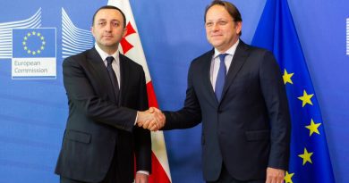 Оливер Вархели призвал власти Грузии ускорить в выполнение 12 рекомендаций