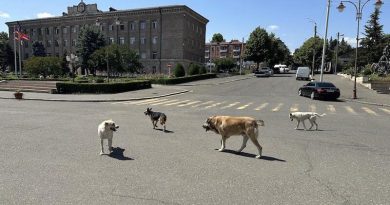 В Карабахе из-за нехватки еды людям приходится отправлять собак на улицу