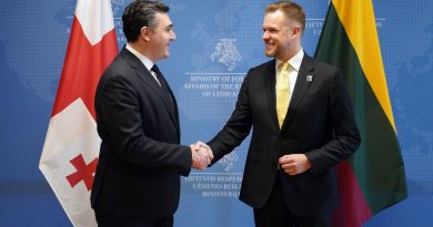 Глава МИД Грузии прибыл в Вильнюс для участия в саммите НАТО