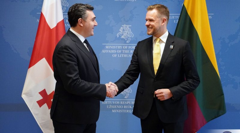 Глава МИД Грузии прибыл в Вильнюс для участия в саммите НАТО