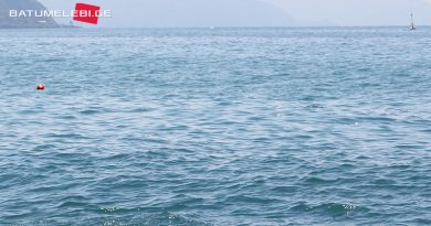 Качество воды в Черном море остается в пределах нормы — результат мониторинга