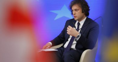 Кобахидзе: Если не хотят граждан России в ЕС, пусть не дают им визы