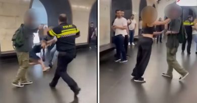 МВД Грузии расследует драку в метро