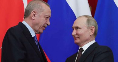 Анкара заявила, что Путин согласился приехать с визитом в Турцию