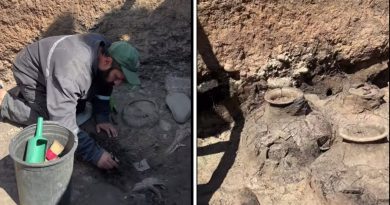 В Грузии обнаружили гробницу периода средней бронзы