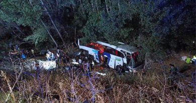 В Турции пассажирский автобус упал в овраг