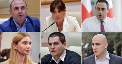 Катастрофа на фоне взаимных обвинений: претензии политиков к исполнительной власти Грузии