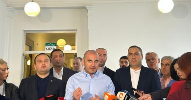 Акции анонсированные Мелия и Хабеишвили начнутся в разное время и в разных местах