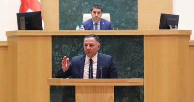 Глава МВД Грузии рассказал о деталях спасательной операции в Шови