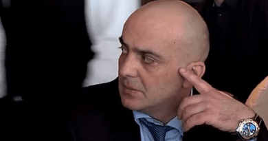 Заключение о лишении Отара Парцхаладзе гражданства Грузии направлено президенту