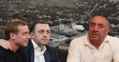 Какой собственностью владеет отец премьера Грузии Тариэл Гарибашвили?