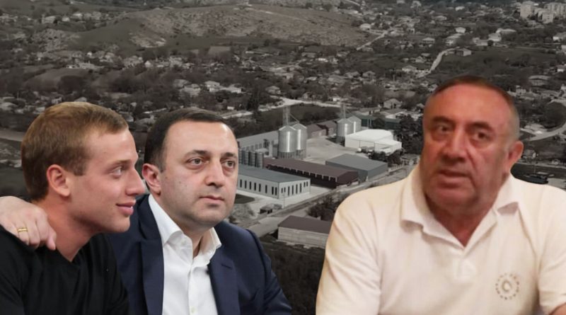 Какой собственностью владеет отец премьера Грузии Тариэл Гарибашвили?