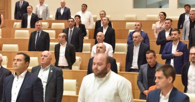 Кто из парламентской оппозиции (не) поддержит импичмент президента Грузии
