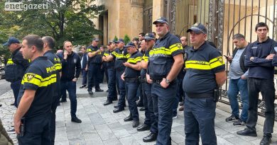 Около 60 полицейских против 15 демонстрантов — результаты мониторинга HRC за протестами в Тбилиси