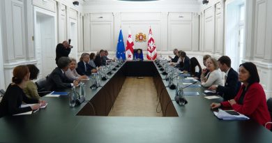 Президент Грузии встретилась с послами стран-членов ЕС