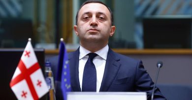 Стратком правительства Грузии выступил с пояснениями касательно частной поездки Гарибашвили в США