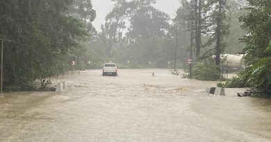 Центральная дорога Самтредиа-Ланчхути-Григолети затоплена — движение остановлено
