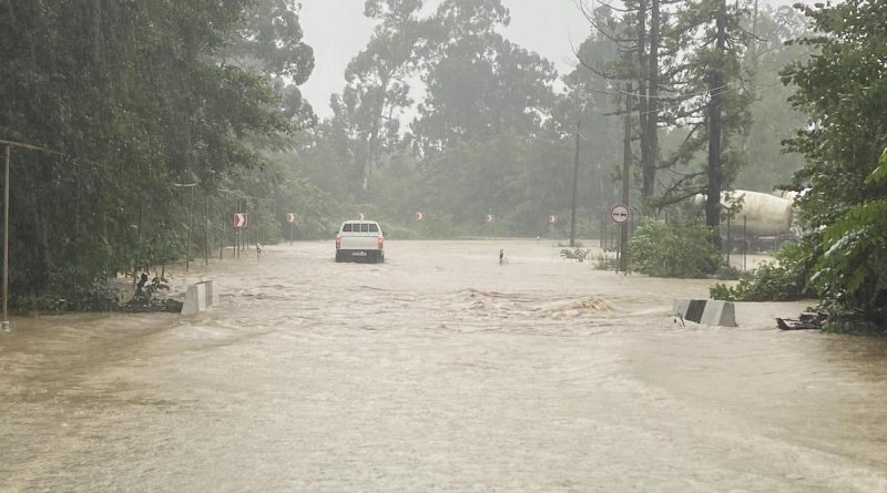 Центральная дорога Самтредиа-Ланчхути-Григолети затоплена — движение остановлено