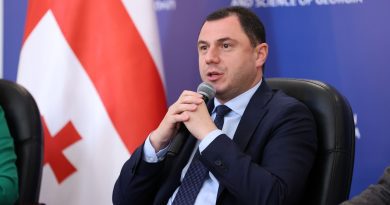 Агентство по делам молодежи перейдет под управление Минобразования Грузии