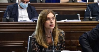 Депутат обвинила «Мечту» в отказе обсуждать проект резолюции об убийстве Тамаза Гинтури