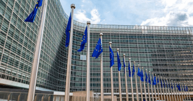 Еврокомиссия рекомендовала предоставить Грузии статус кандидата в члены ЕС