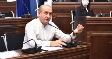 Яго Хвичия предлагает провести в Грузии масштабную амнистию
