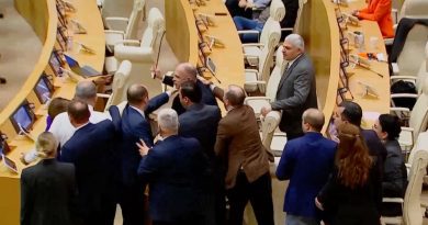 «Парламент Грузии уже в который раз становится свидетелем невиданного позора» — президент об оскорблениях женщин депутатов