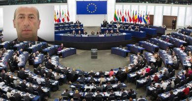 В Европарламент внесена резолюция по убийству Тамаза Гинтури – ​​что написано в документе