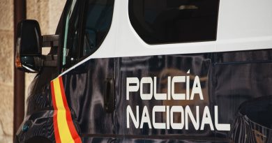 В Испании прошла спецоперация против «грузинской мафии», задержаны более 30 человек
